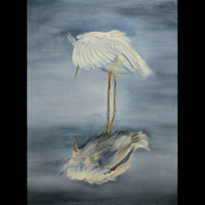 Hidden Reflections <br /><small>by Charlie DeRuiter</small>
