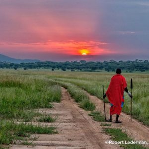 Serengeti Sunset <br /><small>by Bob Lederman</small>